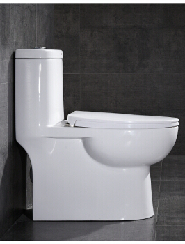 Water Closet Sanitary Ware Siphonic One Piece Toilet Bathroom Accessories Water Closet Toilet