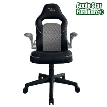 (AS-C2807A) Adjustable Computer Chair with Lumbar Support for Gamers
