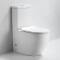 A8831 Bathroom Rimless Toilet Sanitary Ware One Piece Toilet Hotel Bathroom Toilet