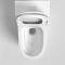 A8524 ceramic toilet sanitary ware toilet ceramic one-piece toilet