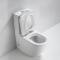 A8831 Bathroom Rimless Toilet Sanitary Ware One Piece Toilet Hotel Bathroom Toilet