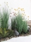 artificial plant reed AP-01