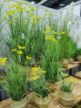 artificial plant reed AP-01