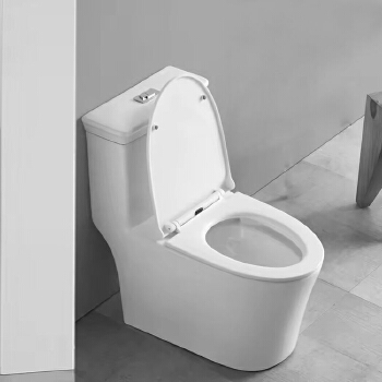 Bathrooms wc Toilet Ceramic Toilet Seat