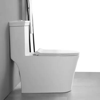 Bathrooms wc Toilet Ceramic Toilet Seat