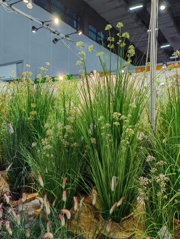 artificial plant reed AP-01