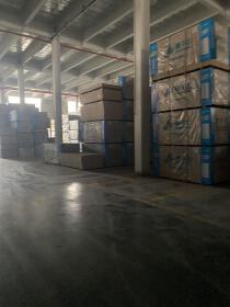 GUANGDONG SPEED CENTURY IMPORT AND EXPORT LIMITED COMPANY