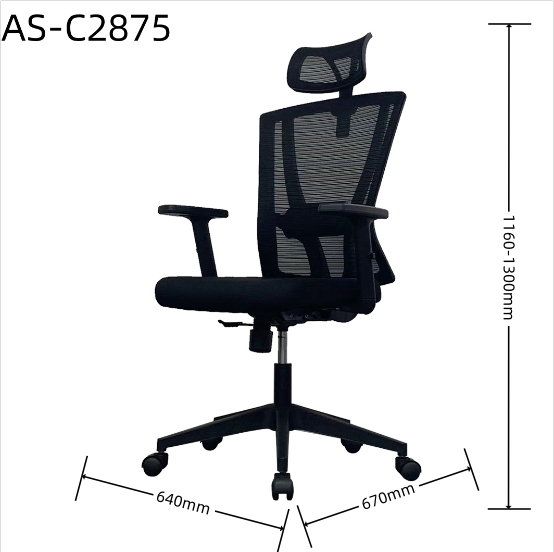 AS-C2875 size 1.0.jpg