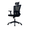 (AS-C2875) Ergonomic Computer Chair for Office with Foshan Furniture Parts