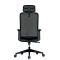 (AS-C2715) Ergonomic Office Chairs for Comfortable and Productive Work Environments