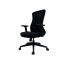 (AS-B2707M) Ergonomic Black Nylon High Back Mesh Office Chair