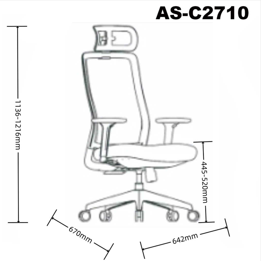 AS-C2710 size 1.0.jpg