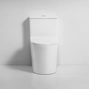 ceramic toilet sanitary ware toilet ceramic one-piece toilet