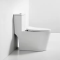 ceramic toilet sanitary ware toilet ceramic one-piece toilet