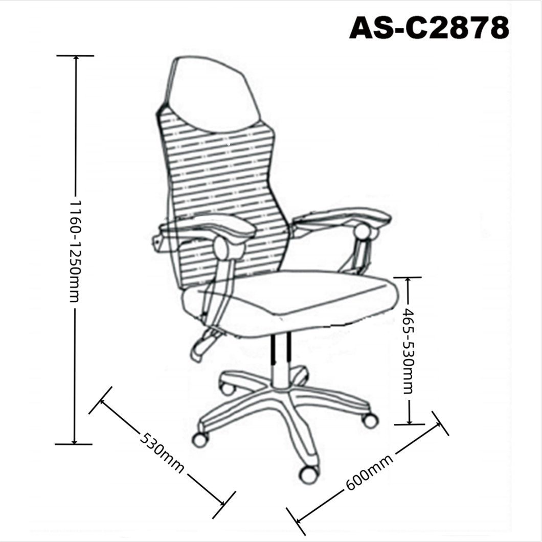 AS-C2878 size 1.0.jpg