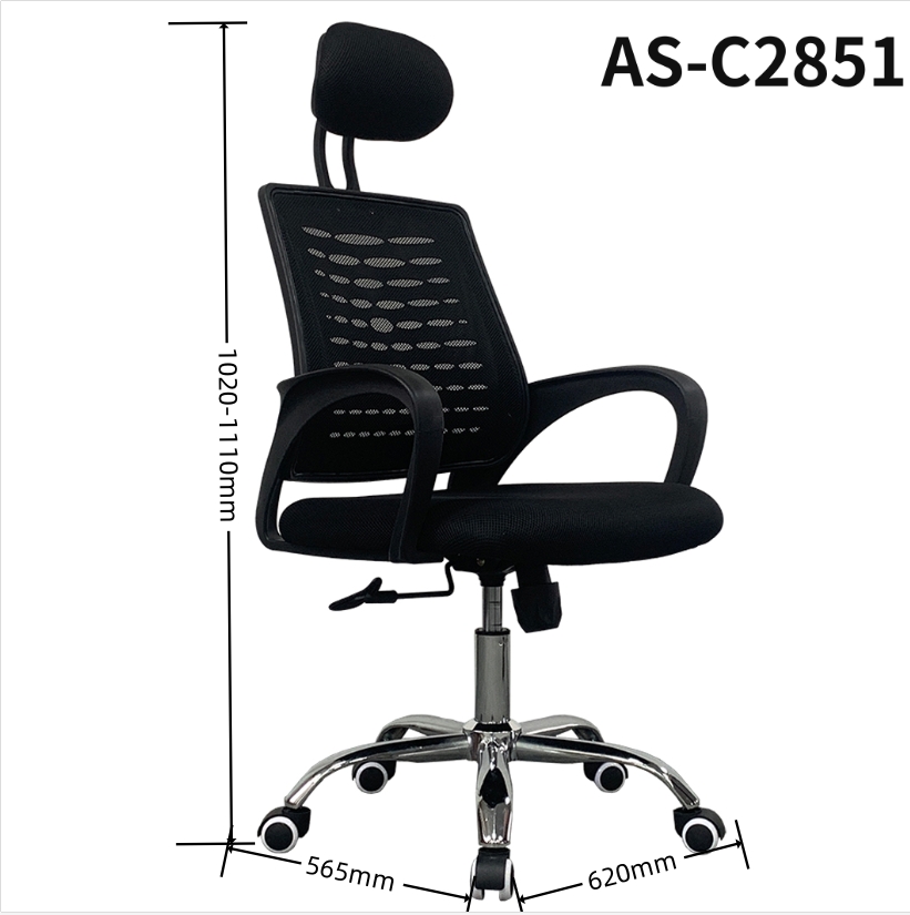 AS-C2851 size 1.0.jpg