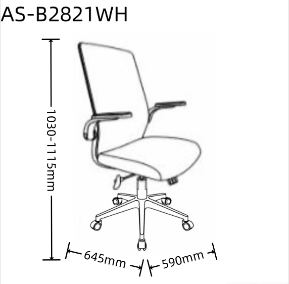 AS-B2821WH size 1.0.png