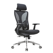 (AS-C2779) Stylish Ergonomic Office Chair with Adjustable Features for Comfort