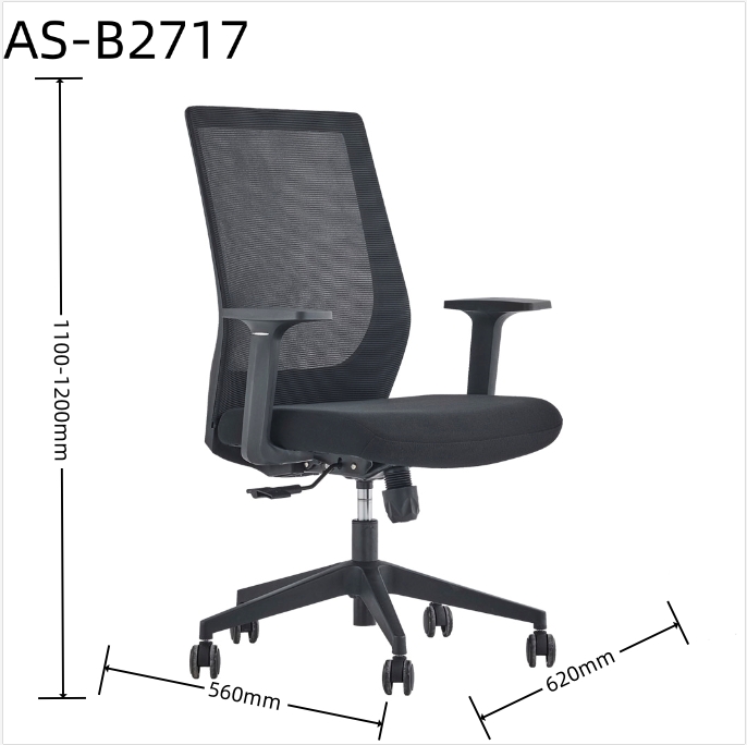 AS-B2717 size 1.0.jpg