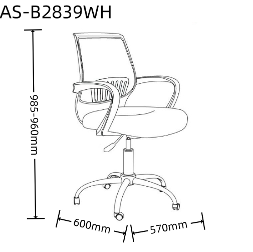AS-B2839WH size 1.0.jpg