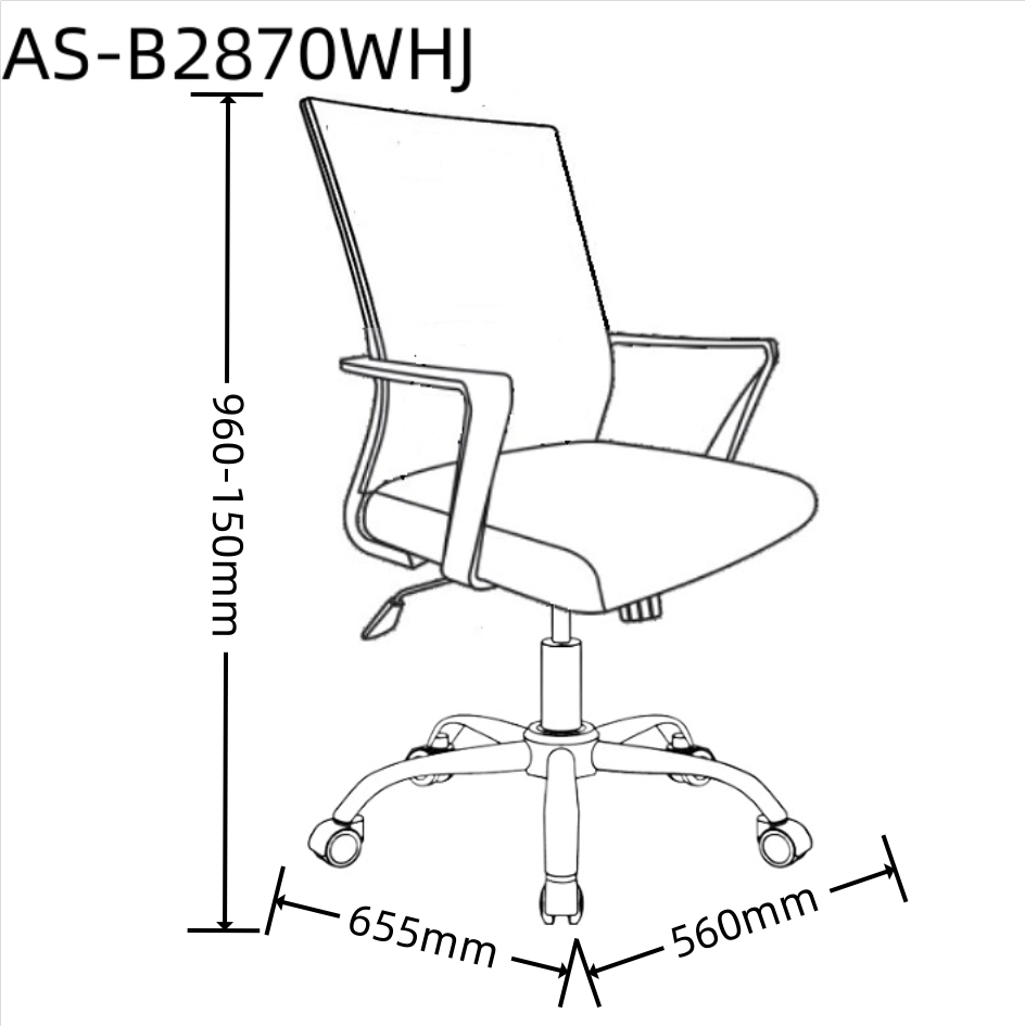 AS-B2870WHJ size 1.0.jpg