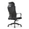 (AS-C2775) Adjustable Ergonomic Office Chair with Lumbar Support and Style