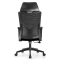 (AS-C2775) Adjustable Ergonomic Office Chair with Lumbar Support and Style