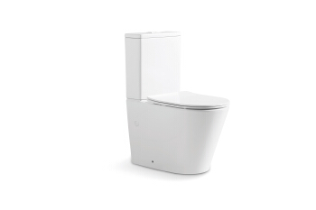 Two piece toilet NS-2179-TPT