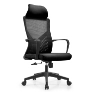 (AS-C2775) Adjustable Ergonomic Office Chair with Lumbar Support and Style