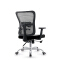(AS-B2774) Ergonomic Metal Office Chair with Contemporary Design Features