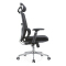 (AS-C2854) Ergonomic Office Chair with Adjustable Height and Lumbar Support