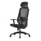 (AS-C2706) Comfortable Ergonomic Office Chair with Adjustable Features for Home Use