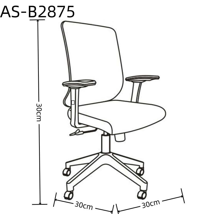 AS-B2875 size 1.0.jpg