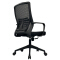 (AS-B2809) Stylish Stainless Steel Manager Chair for Modern Offices
