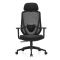(AS-C2706) Comfortable Ergonomic Office Chair with Adjustable Features for Home Use