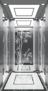 S011 Passenger Elevator
