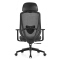 (AS-C2706) Comfortable Ergonomic Office Chair with Adjustable Features for Home Use