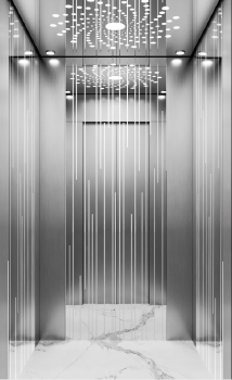 S010 Passenger Elevator