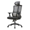 (AS-C2758) Premium Ergonomic Chinese Office Chair for Ultimate Comfort