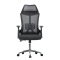 (AS-C2744)Ergonomic Revolving Office Chair with Adjustable Height and Lumbar Support