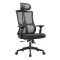 (AS-C2758) Premium Ergonomic Chinese Office Chair for Ultimate Comfort