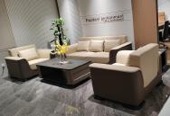 Foshan******** 