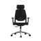 (AS-C2721) Ergonomic Foshan Office Chair for Maximum Comfort and Support