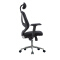 (AS-C2722) Comfortable Ergonomic Chair for Home Office and Living Room