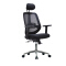 (AS-C2722) Comfortable Ergonomic Chair for Home Office and Living Room