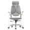(AS-C2719WH) Adjustable Ergonomic Office Chair with Lumbar Support and Style