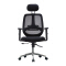 (AS-C2722) Comfortable Ergonomic Chair for Home Office and Living Room