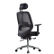 (AS-C2722) Comfortable Ergonomic Chair for Home Office and Living Room