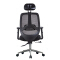 (AS-C2722) Comfortable Ergonomic Chair for Home Office and Living Room