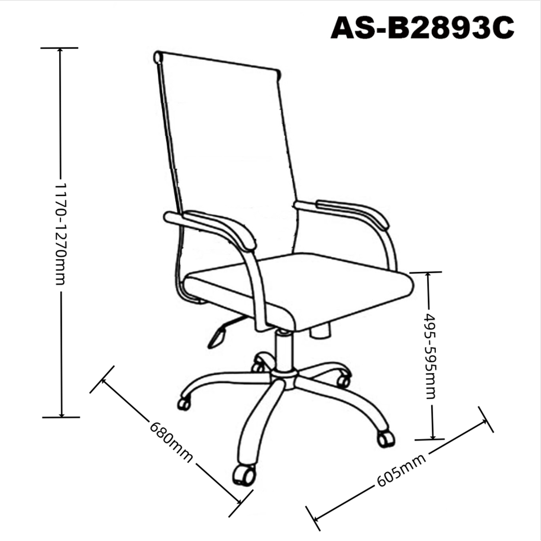 AS-B2893C size 1.0.jpg